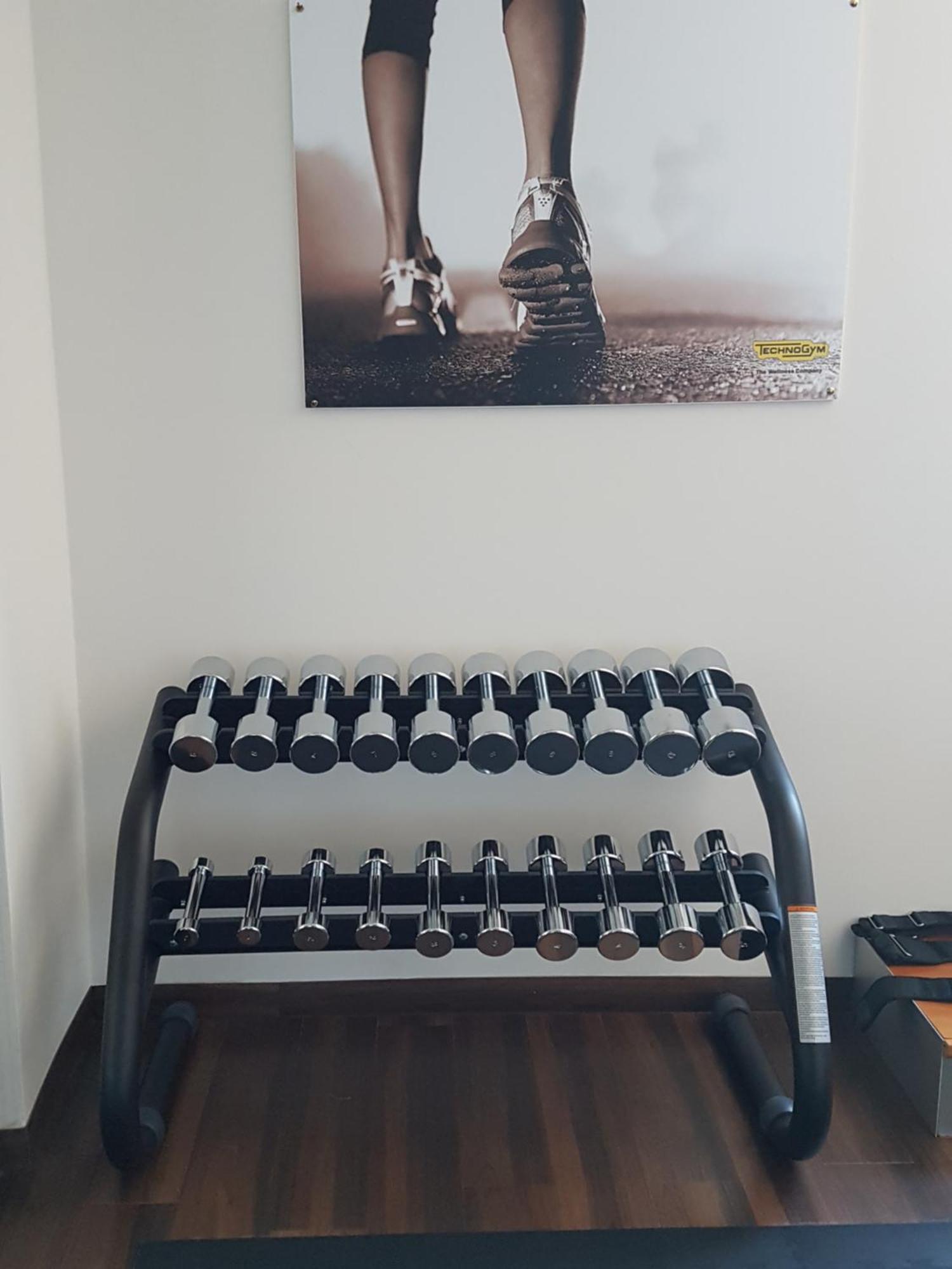 Steigenberger Graf Zeppelin Hotel Stuttgart Exterior photo Dumbbells on a rack